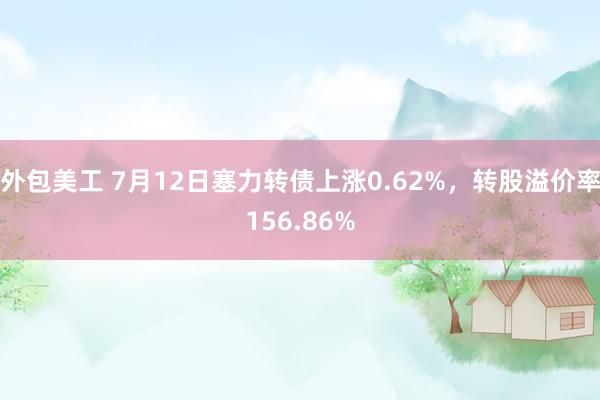 外包美工 7月12日塞力转债上涨0.62%，转股溢价率156.86%